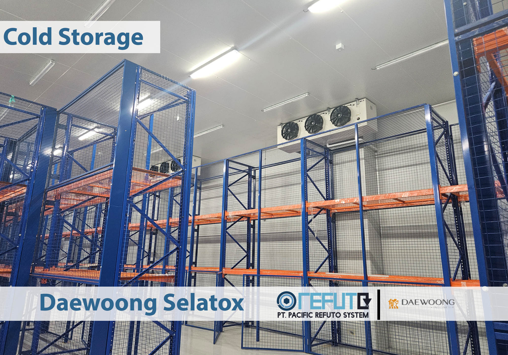 PT Daewoong Bio Indonesia - Daewoong selatox