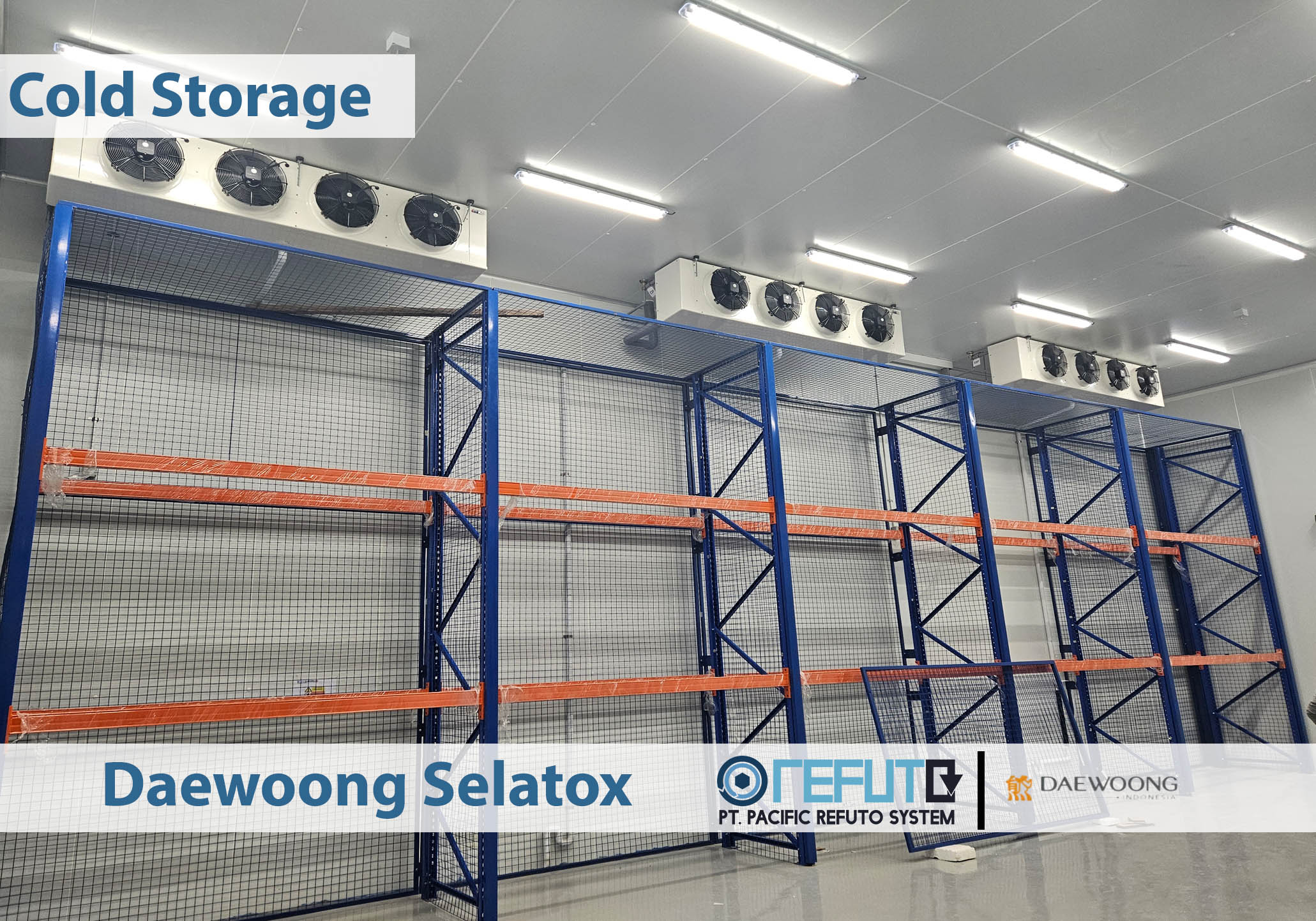 PT Daewoong Bio Indonesia - Daewoong selatox