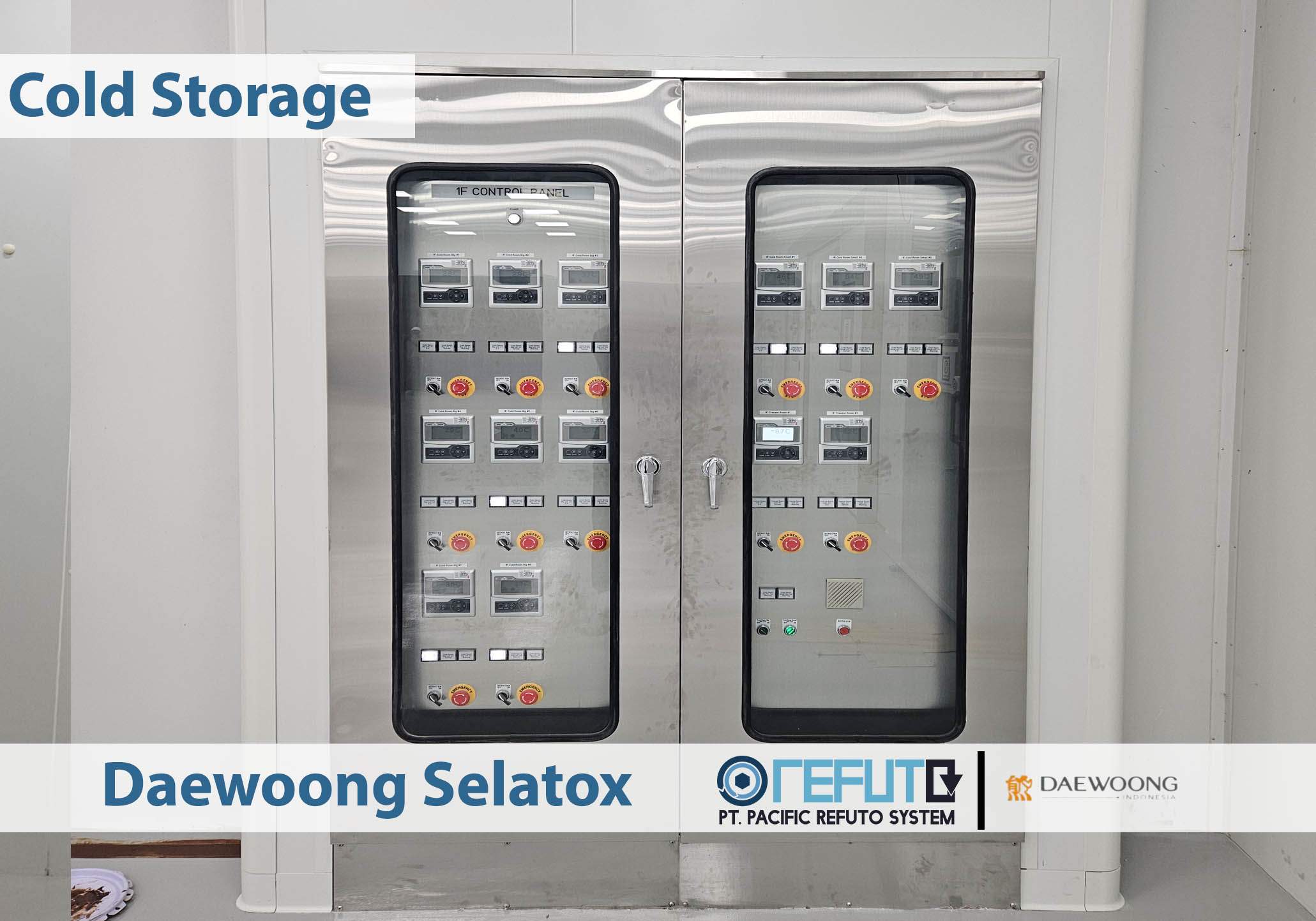 PT Daewoong Bio Indonesia - Daewoong selatox